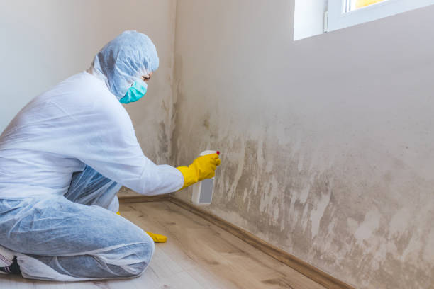Mold Remediation specialist working in Marion